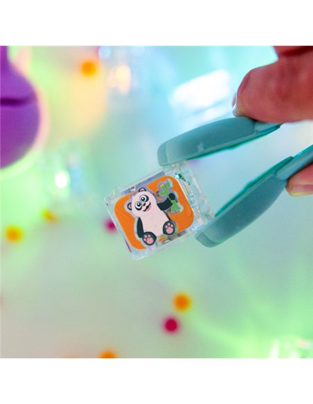 ZANY ZOO CUBES - glo pals