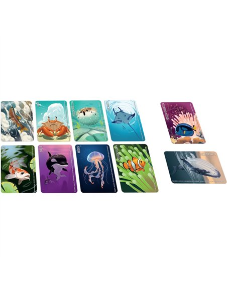 Similo animaux aquatiques