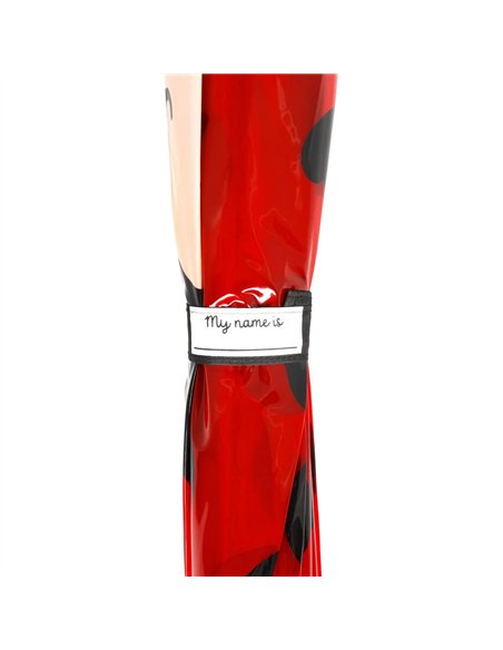 Parapluie pour Enfant Coccinelle ladybug - Dancin' in the Rain - legami