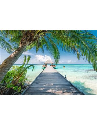Puzzle 4000 p - Plage de rêve aux Maldives