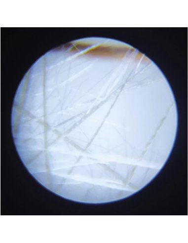 HAPPY GARDEN - MICROSCOPE DE POCHE - Janod
