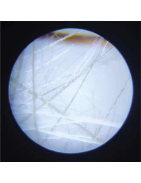 HAPPY GARDEN - MICROSCOPE DE POCHE - Janod