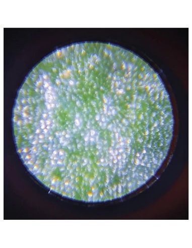 HAPPY GARDEN - MICROSCOPE DE POCHE - Janod