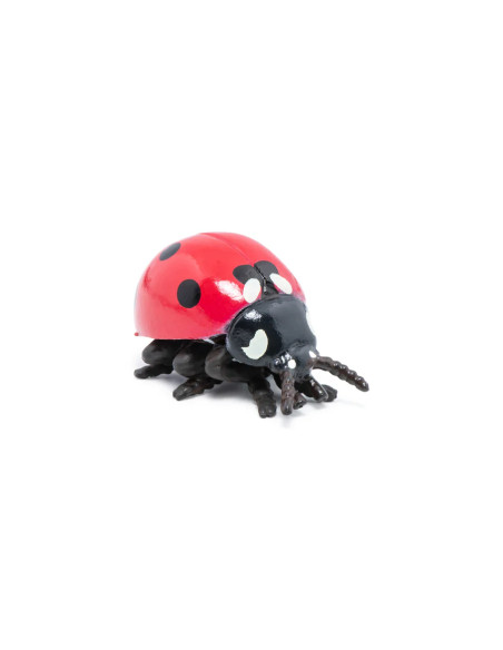 Coccinelle papo