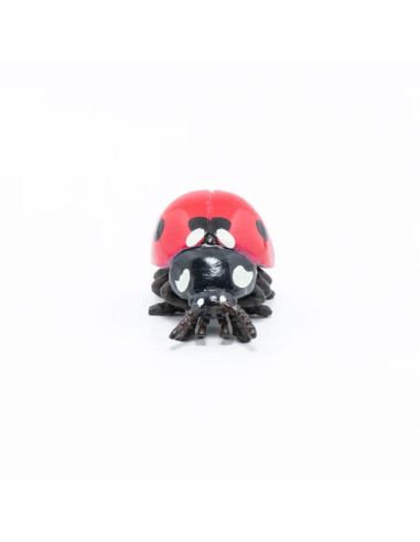 Coccinelle