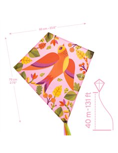 CERF-VOLANT - Birdy - DJECO 2