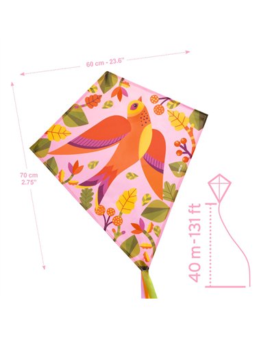 CERF-VOLANT - Birdy - DJECO