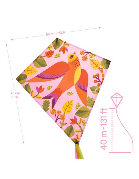 CERF-VOLANT - Birdy - DJECO