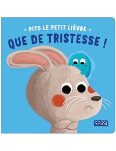 Que de tristesse ! - sassi