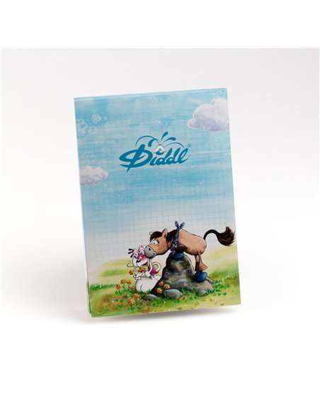 Bloc parfumé A5 Diddl