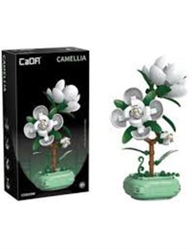 Plante Camélia en Briques  CaDA