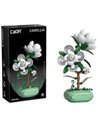 Plante Camélia en Briques  CaDA