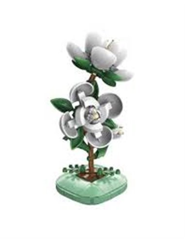 Plante Camélia en Briques  CaDA