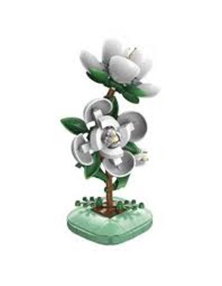 Plante Camélia en Briques  CaDA