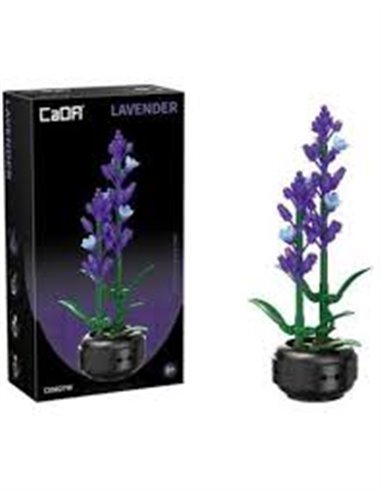 Plante Lavande en Briques  CaDA