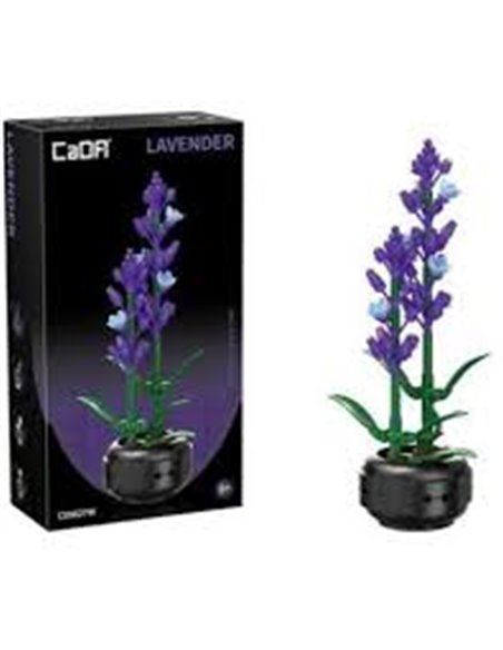 Plante Lavande en Briques  CaDA