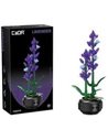 Plante Lavande en Briques  CaDA