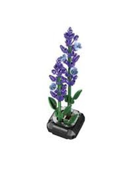 Plante Lavande en Briques  CaDA