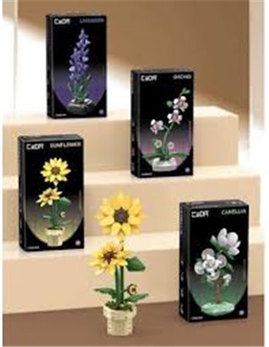 Plante Tournesol en Briques CaDA