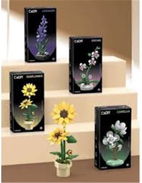 Plante Tournesol en Briques CaDA