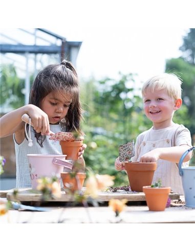 Seau Fairy Garden - Little dutch