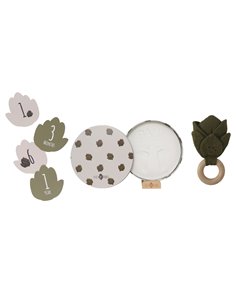 Coffret naissance - Petit Artichaut