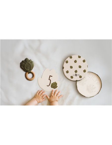 Coffret naissance - Petit Artichaut