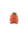 Coussin petit FRESH MARKET CARRIE CARROT - Itotal