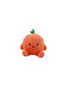 Coussin petit FRESH MARKET OLLY ORANGE - Itotal