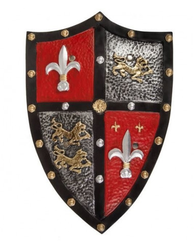 Bouclier de chevalier