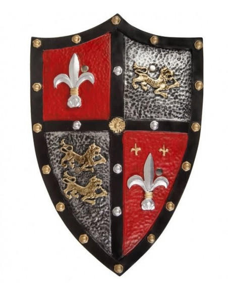 Bouclier de chevalier