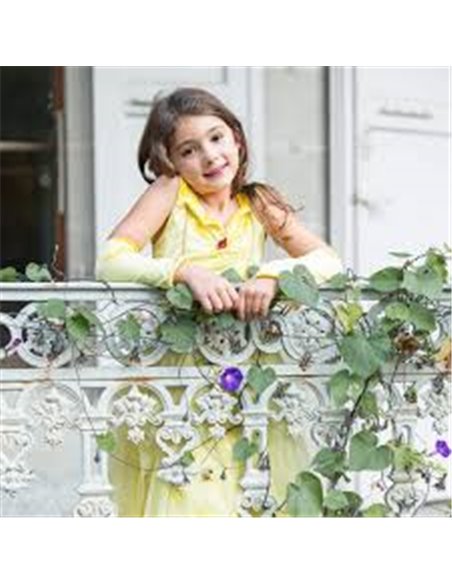 Robe de princesse velours, Reine à la rose, robe et brassards, jaune - great pretenders