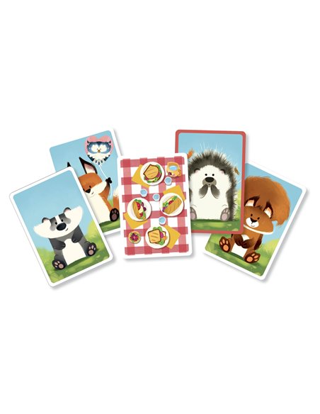 JEU DE CARTES - JEU DE PIQUE-NIQUE - Auzou