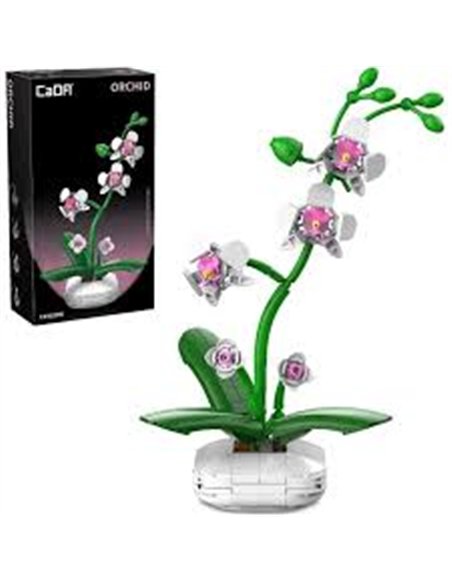 Plante - Orchidée - 237pcs - CaDA