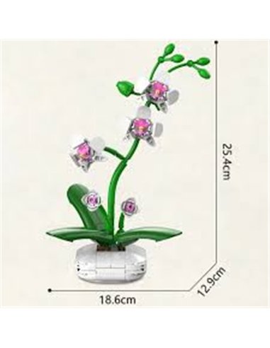 Plante - Orchidée - 237pcs - CaDA