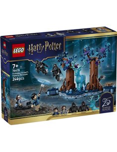 LEGO Harry Potter 76475 La Forêt interdite : Expecto Patronum