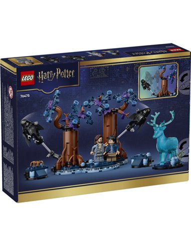LEGO Harry Potter 76475 La Forêt interdite : Expecto Patronum