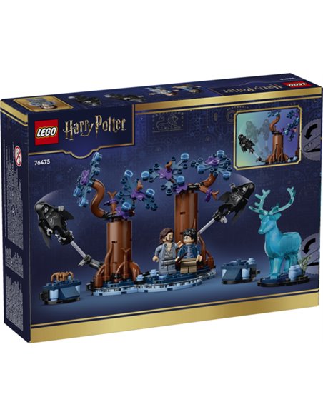 LEGO Harry Potter 76475 La Forêt interdite : Expecto Patronum