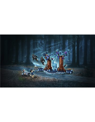 LEGO Harry Potter 76475 La Forêt interdite : Expecto Patronum