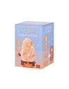 HIMALAYAN SALT LAMP - LAMPE DE SEL DE L'HIMALAYA mini - LEGAMI