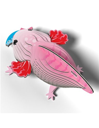 Eugy 3D Modèle: ANIMAL MARIN - AXOLOTH