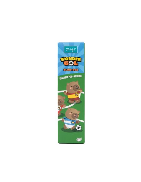 Stylo effaçable Wonder Gol - Blind box coupe du monde de football - Mr Wonderful