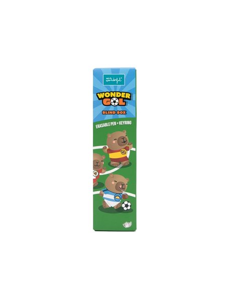Lot de 15 boîtes surprises Wonder Gol - coupe du monde de football - Mr wonderful