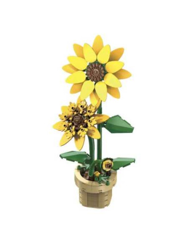 Plante Tournesol en Briques CaDA