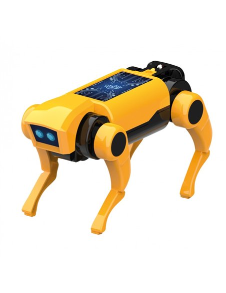 Mini lab - Robot Chien RC - Buki
