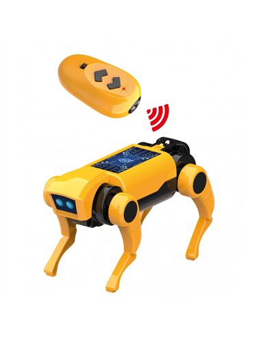 Mini lab - Robot Chien RC - Buki