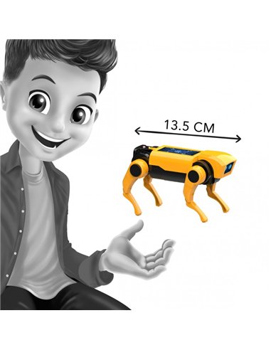 Mini lab - Robot Chien RC - Buki