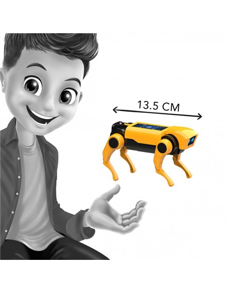 Mini lab - Robot Chien RC - Buki