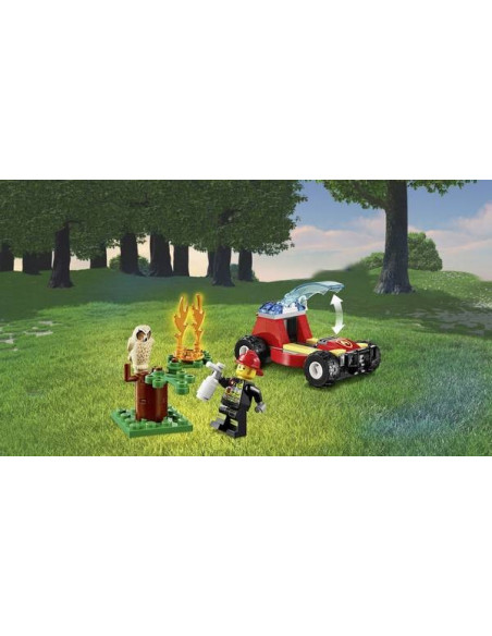Feu de foret