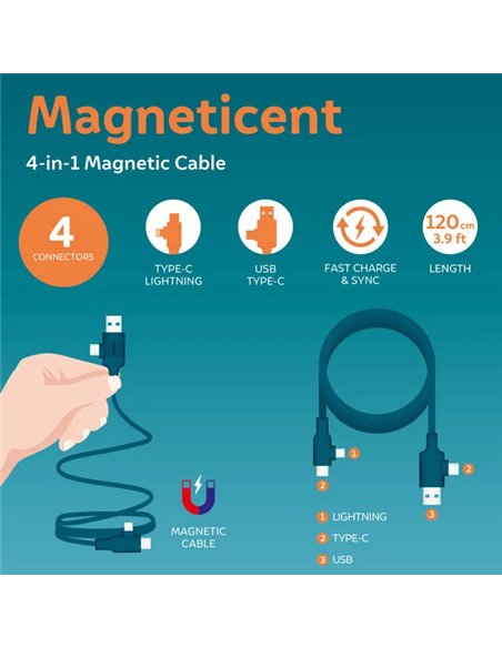 CÂBLE MAGNÉTIQUE 4 EN 1 CHARGE - PETROL - Legami